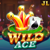 Wild Ace on jljl55 play